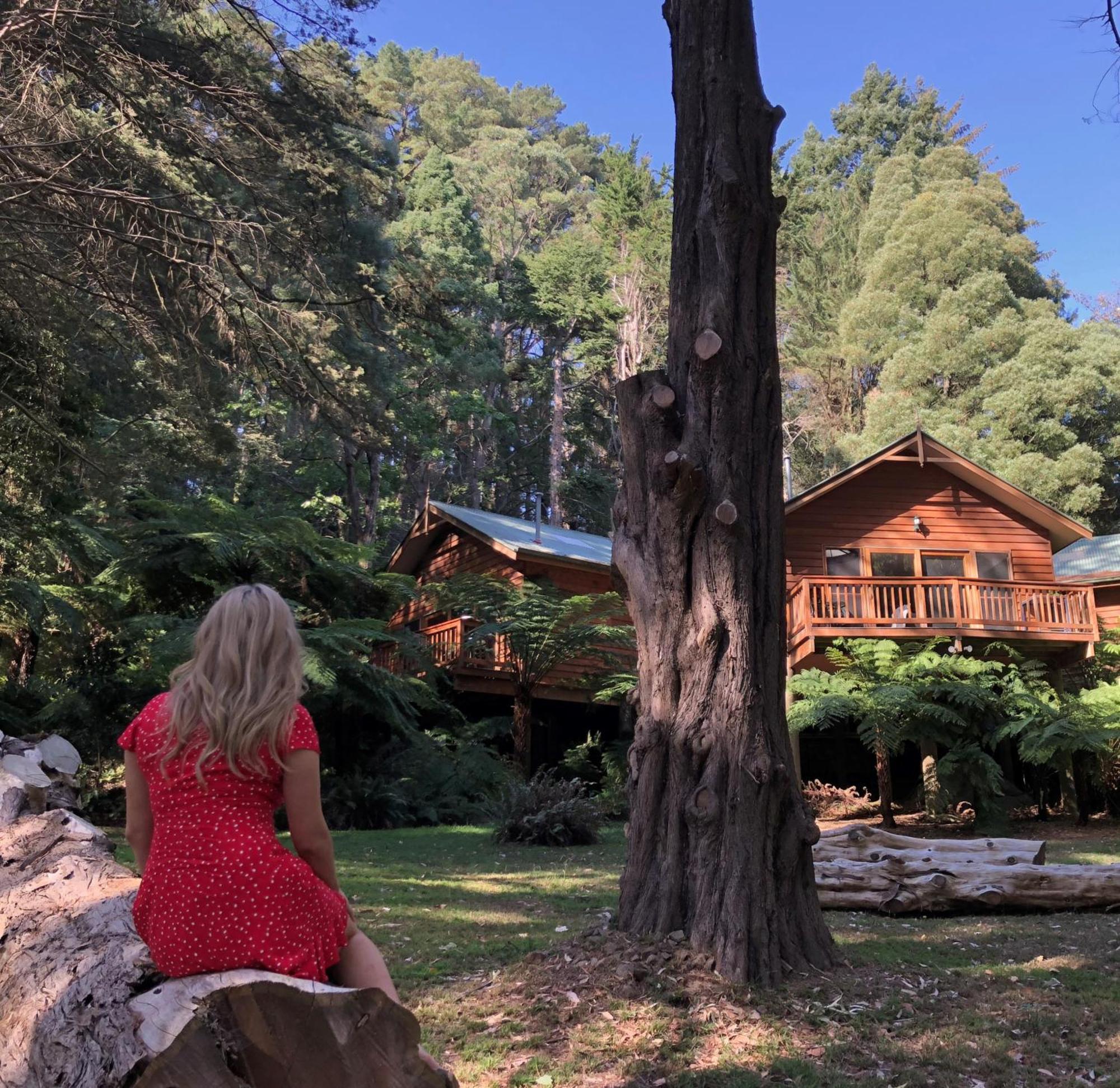Chudleigh Park Cottages Sassafras Kültér fotó